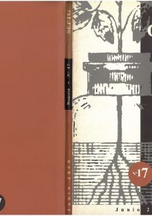 Portada Boletín 17 – 2000