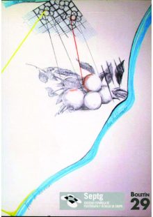 Portada Boletín 29 – 2011